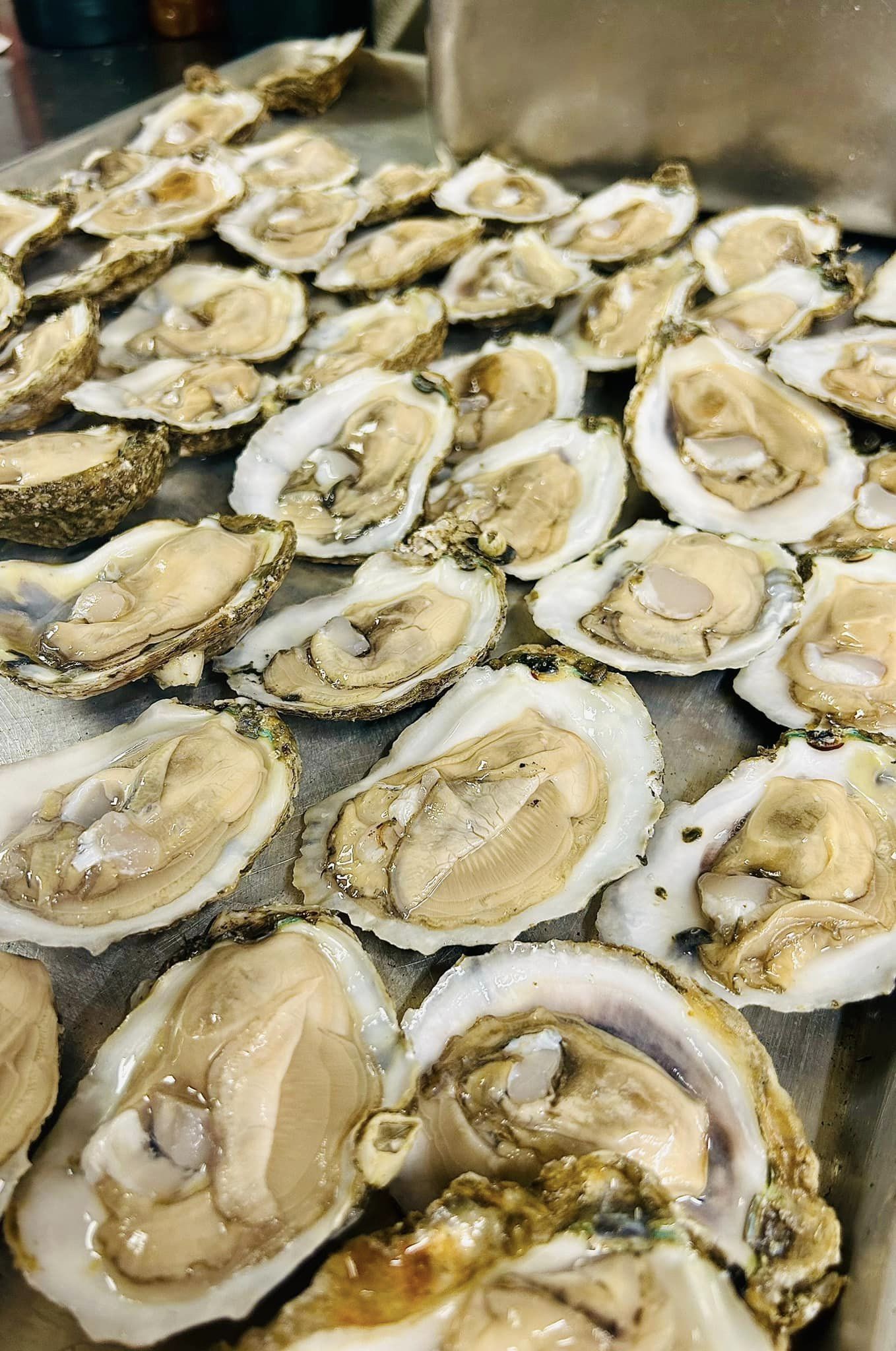 a tray of oysters on the half shell