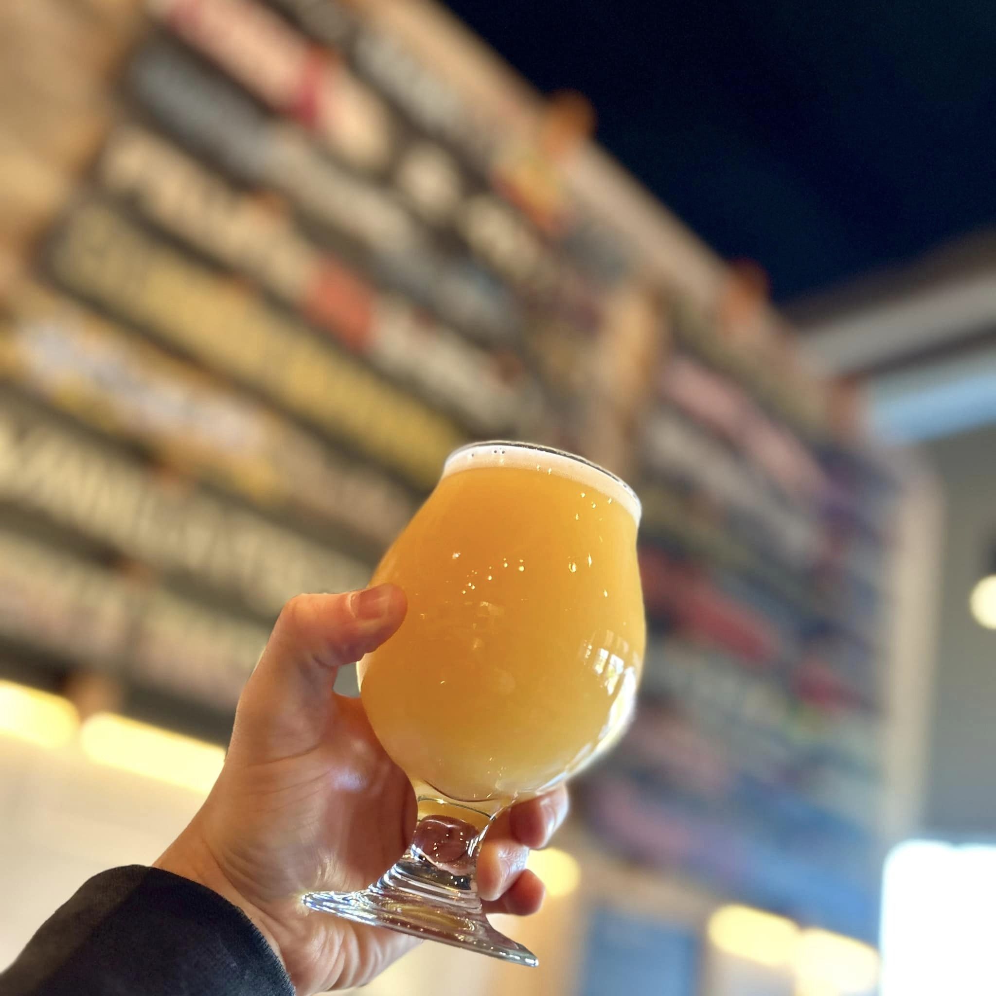 a hand holding up a glass of NO QUARTER hazy ipa