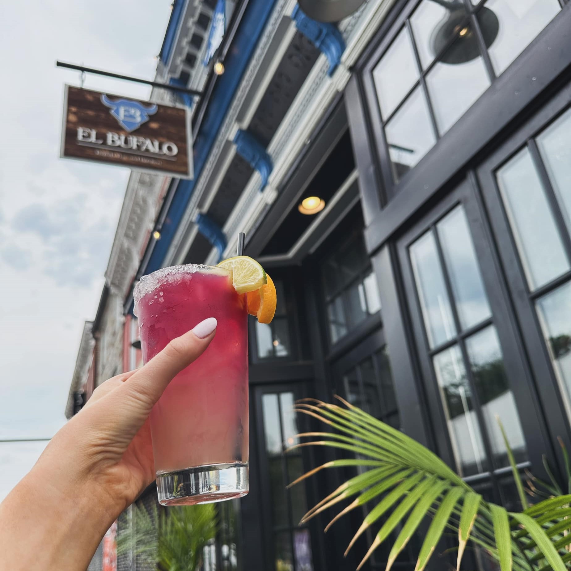 a hand holding a pink cocktail with lime and orange wedges in front of the el bufalo sign