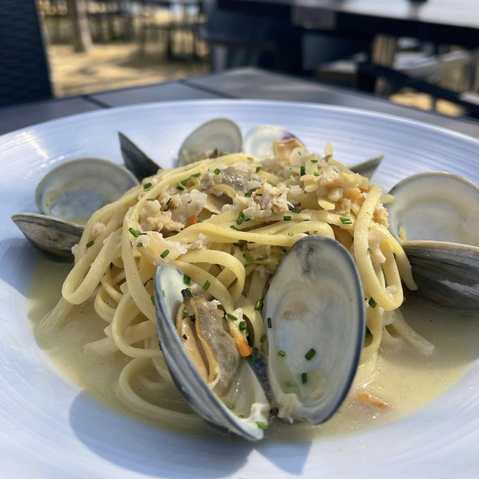 a plate of Clam Linguine